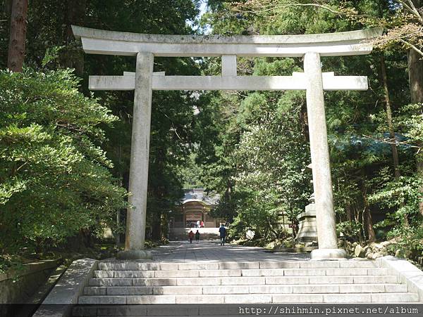 P1020172.JPG P1020172.JPG