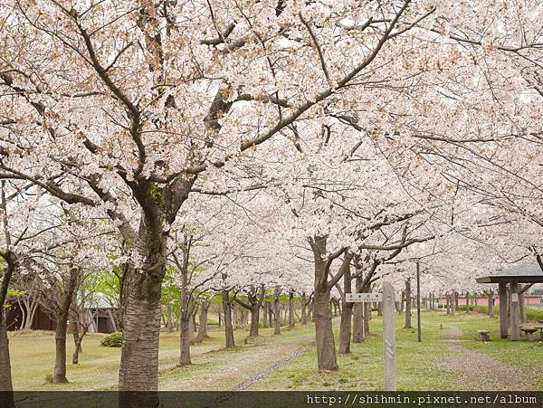 P1020276.JPG P1020276.JPG