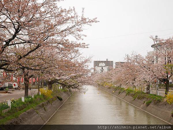 P1020306.JPG P1020306.JPG