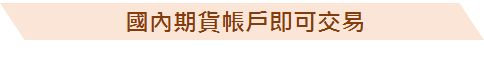 期交所新商品!【那斯達克100期貨】保證金最小跳動點/小資族