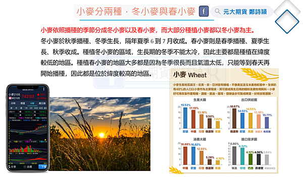 黃小玉期貨/元大期貨營業員鄭詩頴