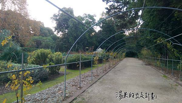 IMAG9676.jpg IMAG9676.jpg