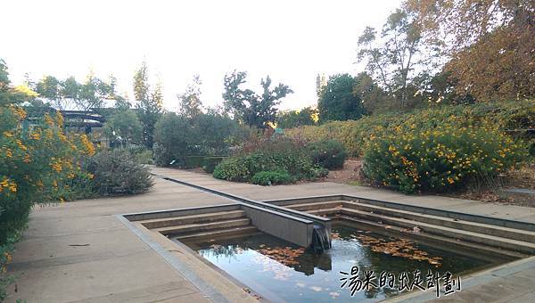 IMAG9678.jpg IMAG9678.jpg