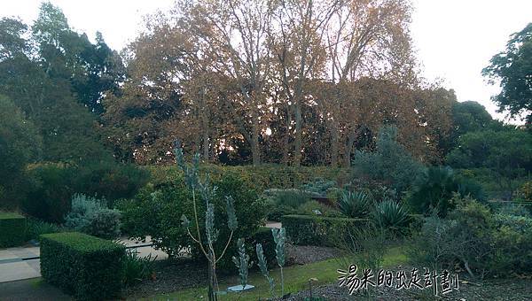 IMAG9675.jpg IMAG9675.jpg