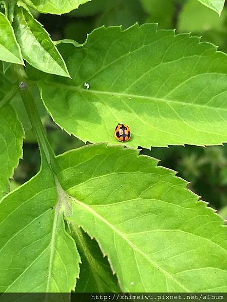 37357032_10215209362005173_3530220305630887936_n