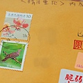 龍舌蘭 (7).JPG