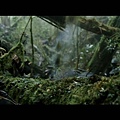 《賽德克‧巴萊》戲院預告(HD) - Seediq Bale - Theatrical Trailer - English Subtitled_20110618-09042993.jpg