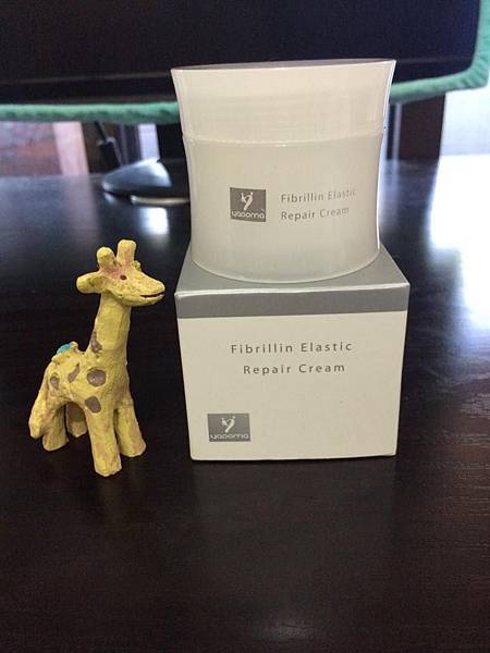 12119037_1195821337098609_7493237297297135875_n 試用