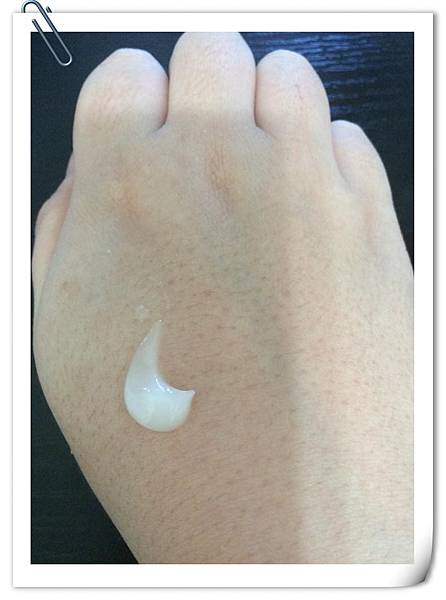 12105730_1196325803714829_8255605479535735901_n 試用