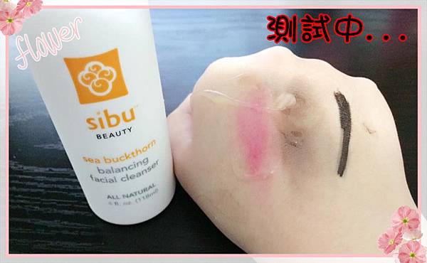 12510389_1256045744409501_1297213372673842675_n 試用