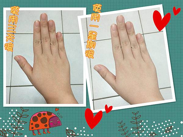 12800117_1283452711668804_8289776583403474570_n 試用