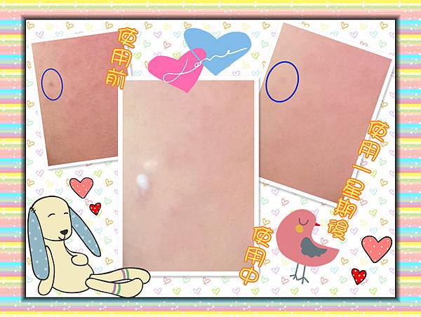 11703123_1288820637798678_3992290617790420166_n - 複製 試用