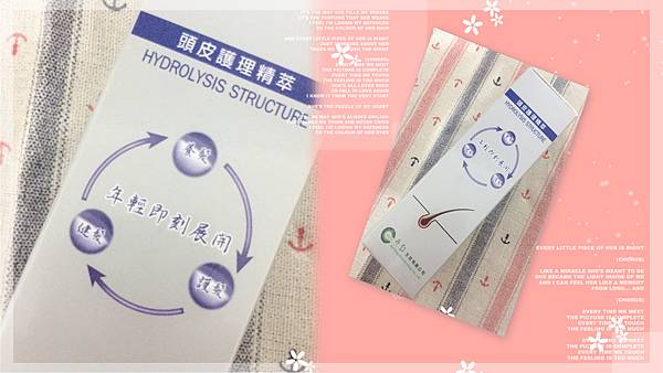 10 試用