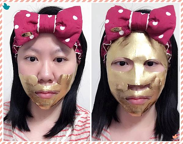 16142526_1664234300257308_8345909897450719674_n 試用