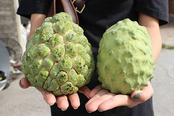 台灣水果宅配直送日本|芯安鮮果 台灣水果宅配直送日本|芯安鮮果