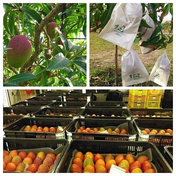 189405_7c74bc60ae3d46d7e27ccb24b323b1825baa3dea.jpg 189405_7c74bc60ae3d46d7e27ccb24b323b1825baa3dea.jpg