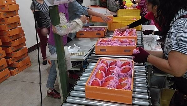 IMAG0612.jpg IMAG0612.jpg