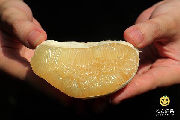 台灣下訂日本取貨麻豆文旦 台灣下訂日本取貨麻豆文旦