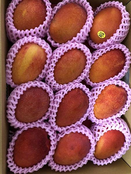 台灣愛文芒果宅配日本|日本客戶實拍|芯安鮮果 台灣愛文芒果宅配日本|日本客戶實拍|芯安鮮果