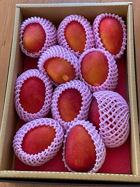 台灣愛文芒果宅配日本|日本客戶實拍|芯安鮮果 台灣愛文芒果宅配日本|日本客戶實拍|芯安鮮果