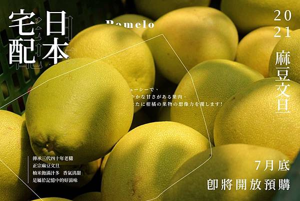 麻豆文旦柚宅配日本即將預購 麻豆文旦柚宅配日本即將預購