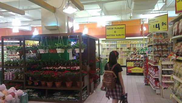 IMAG1025.jpg IMAG1025.jpg