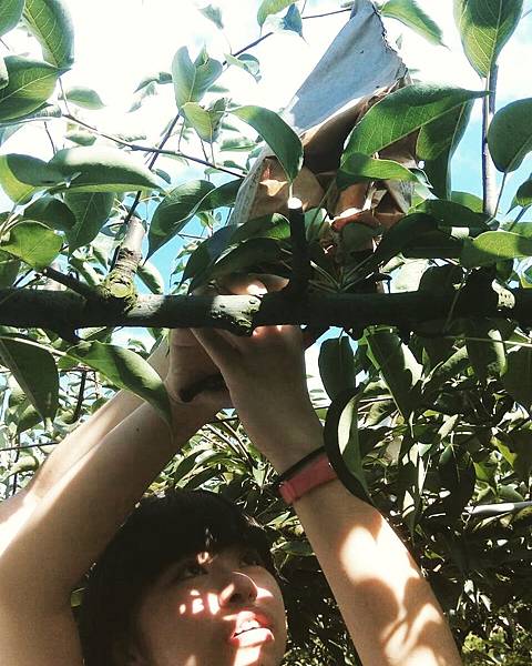 IMG_20160706_222722.jpg IMG_20160706_222722.jpg