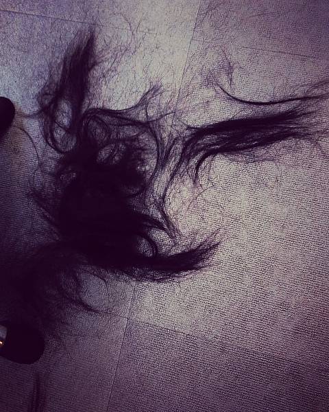 IMG_20160706_132127.jpg IMG_20160706_132127.jpg