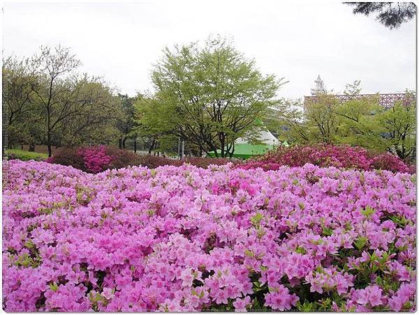 很大的公園，很多韓國人全家大小來運動，騎腳踏車