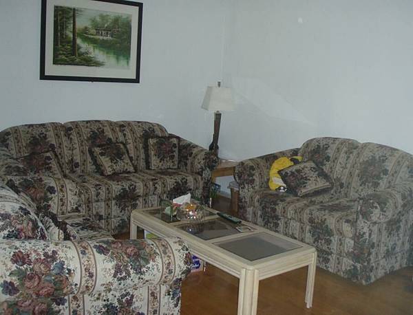 living room.JPG