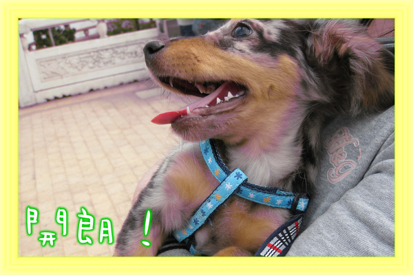 0306 初跑跑-開朗.jpg