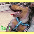 0306 初跑跑-開朗.jpg