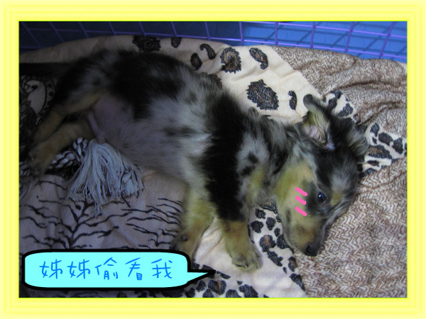 到家25天-躺躺.jpg