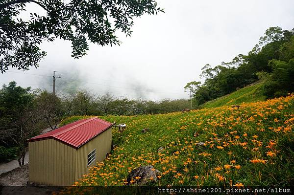 台東太麻里金針山