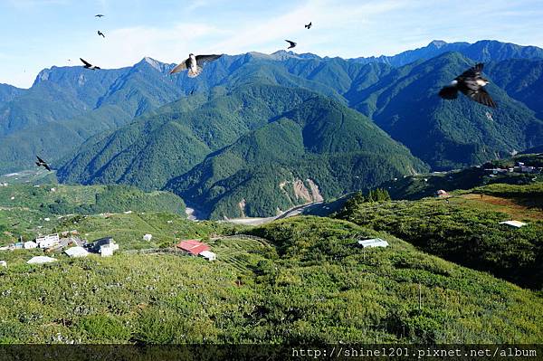 梨山民宿【松柏星宿】福壽山附近住宿，距離15~20分鐘