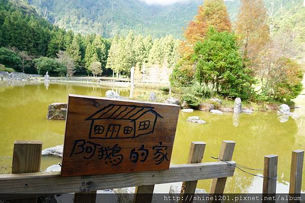 宜蘭旅遊景點  明池森林遊樂園區