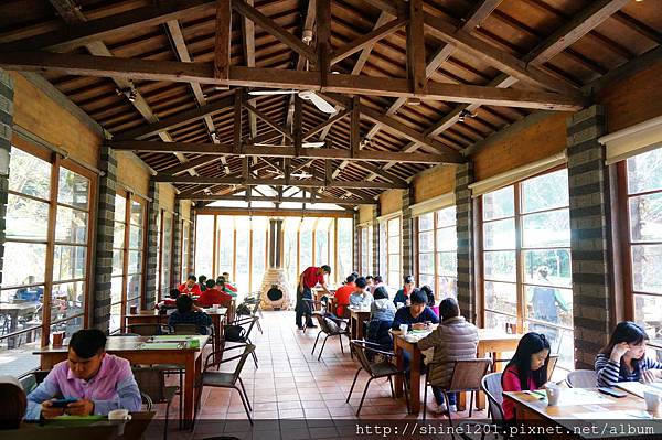 【苗栗景觀餐廳】綠葉方舟 苗栗三義親子旅遊景點推薦【山那邊.綠葉方舟】