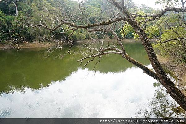 【苗栗溫泉下午茶】湖畔花時間溫泉會館 大湖景觀溫泉下午茶推薦