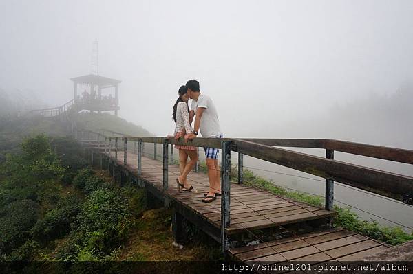 南投旅遊景點 銀杏森林