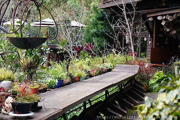 【苗栗景觀餐廳】山行玫瑰.南庄美食景觀餐廳.民宿