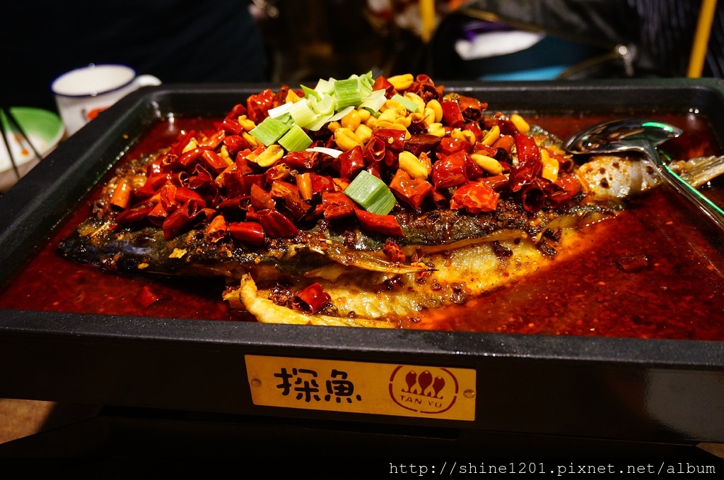 台中麻辣美食 探魚.像在小酒館裡品重慶川菜.溫和嗜辣推薦