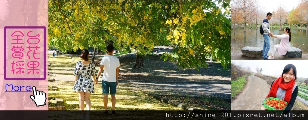 賞花採果 賞花採果