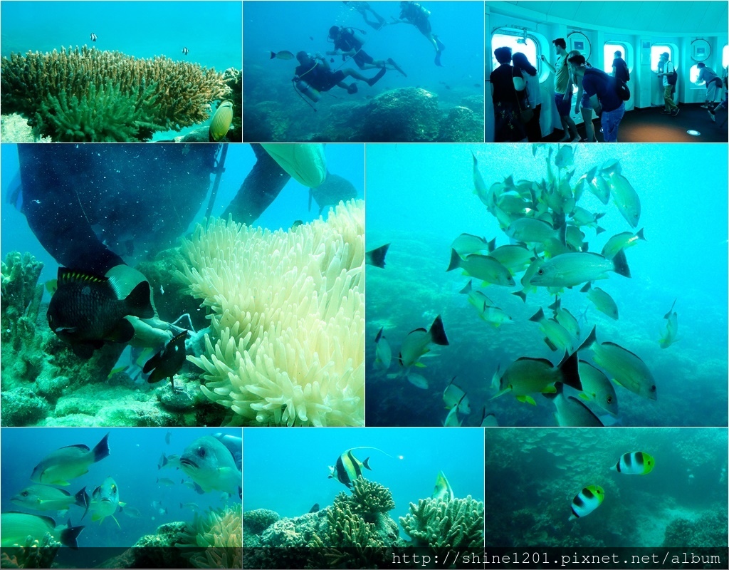 魚眼公園｜關島親子景點.關島浮潛.關島潛水