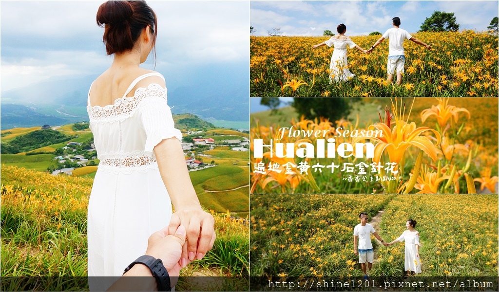 花蓮六十石金針花|沿途都好拍.德森有機農場金針花餐 花蓮六十石金針花|沿途都好拍.德森有機農場金針花餐