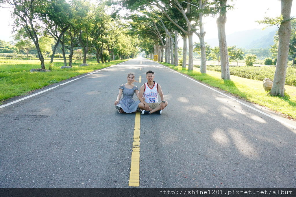 台東茶業改良場｜台東景點.鹿野景點