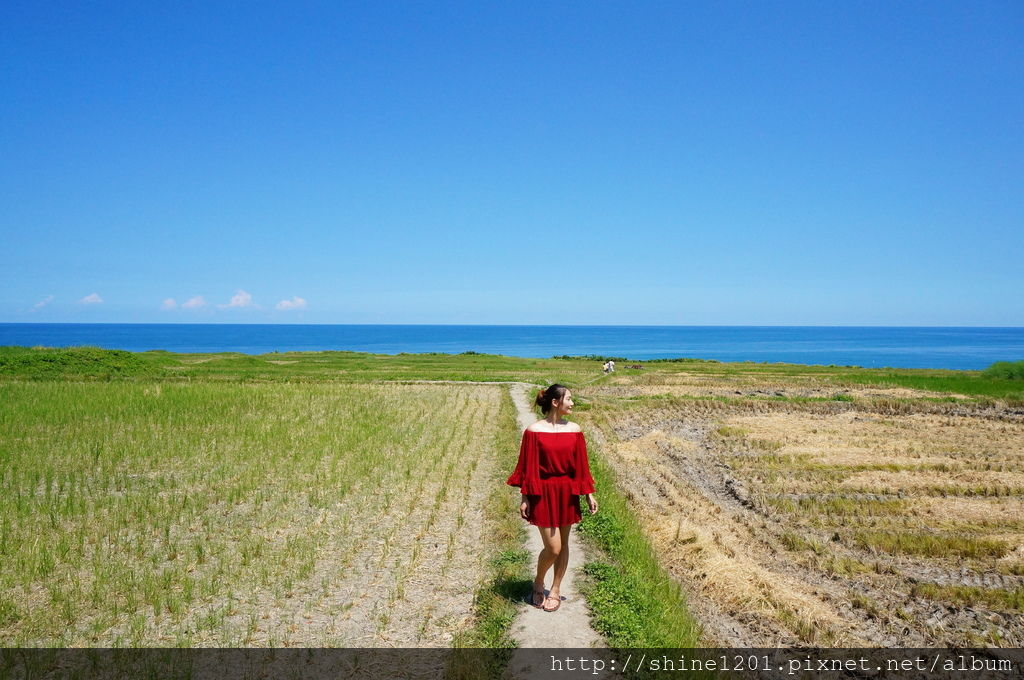 花東地景藝術-新社梯田|花蓮豐濱鄉景點.花蓮網美景點 花東地景藝術-新社梯田|花蓮豐濱鄉景點.花蓮網美景點