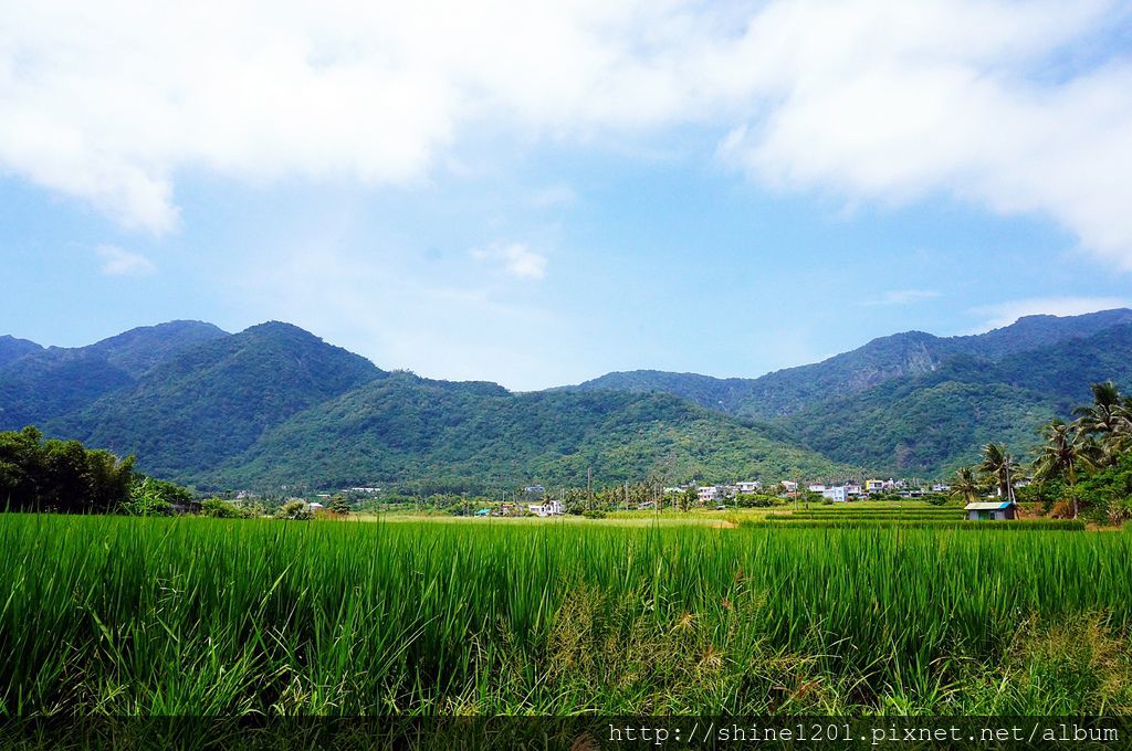 石雨傘｜台東景點. 成功鎮景點