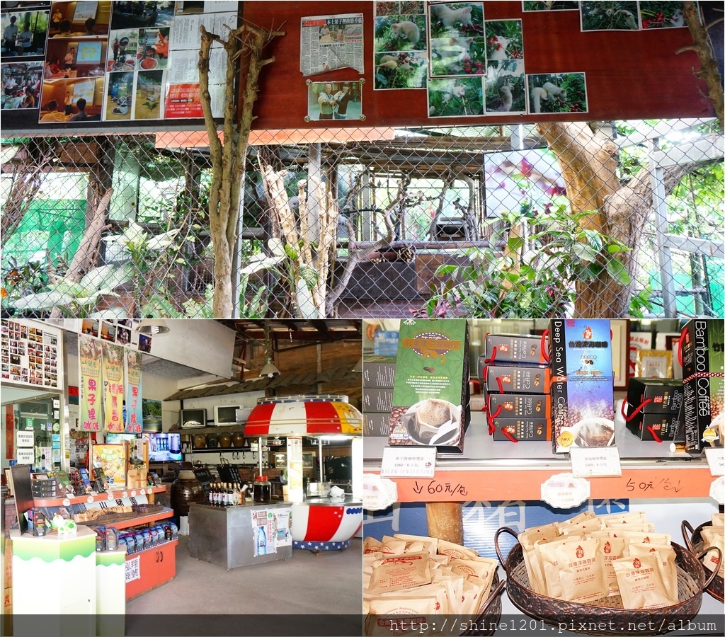 山豬園果子狸咖啡|台東咖啡景點.卑南鄉景點 山豬園果子狸咖啡|台東咖啡景點.卑南鄉景點