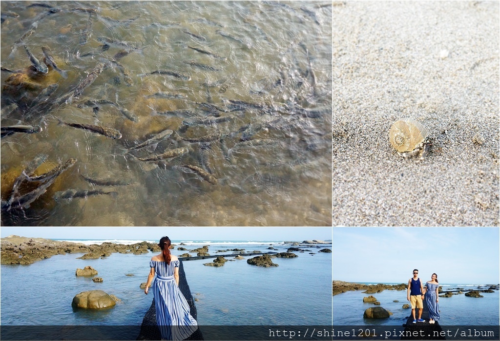 富山護魚區|台東景點.卑南鄉景點 富山護魚區|台東景點.卑南鄉景點