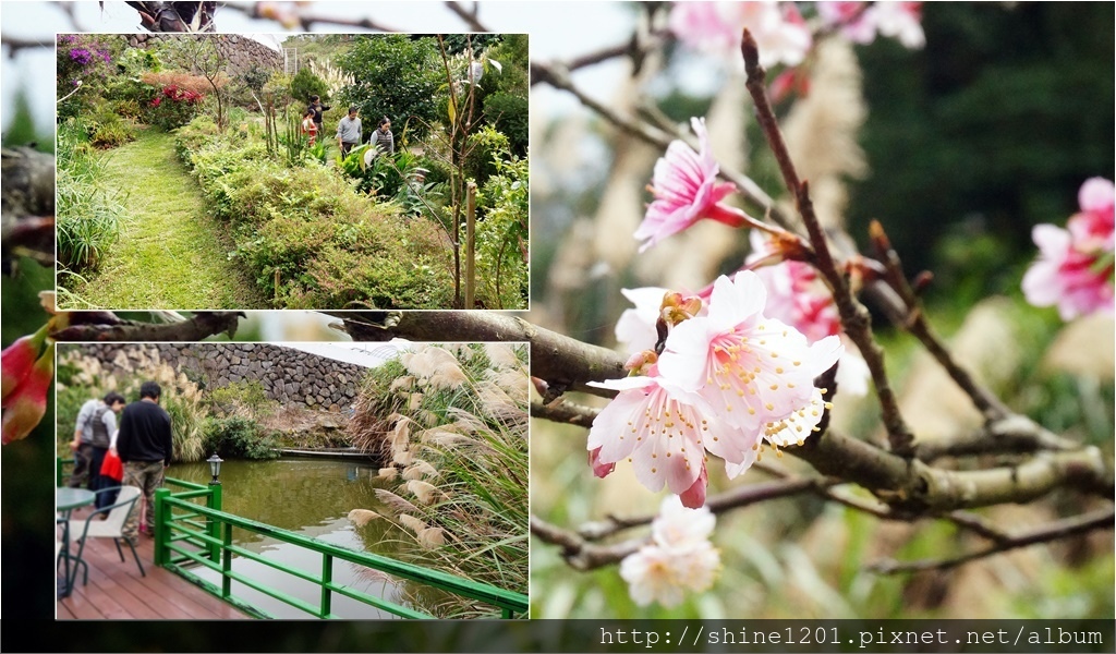 內湖親子草莓園美食推薦｜桂香草莓園&COCO32咖啡棧